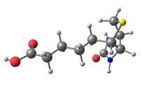 Pantothenic Acid